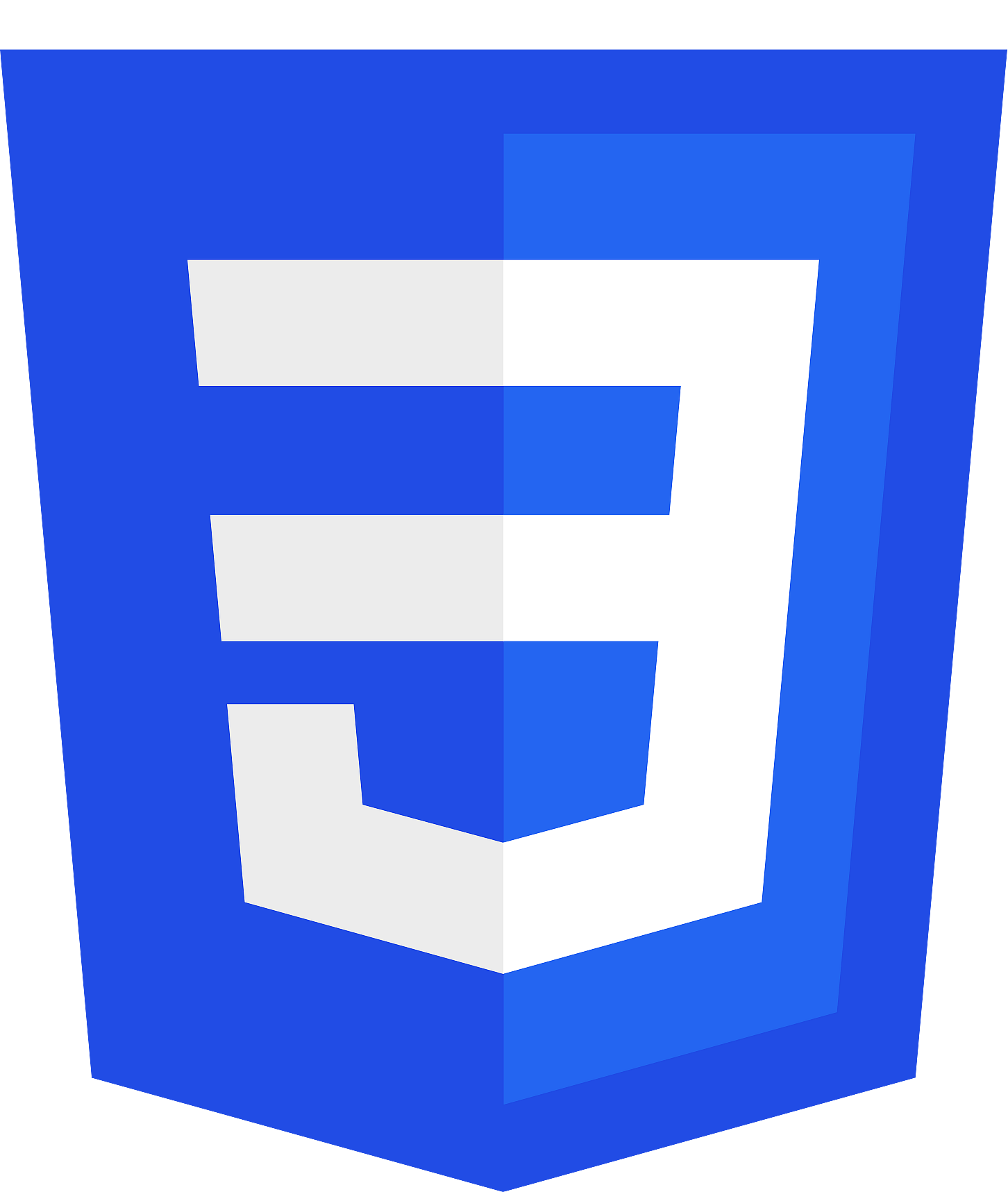 CSS logo